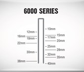 6000 Series Medium Staples