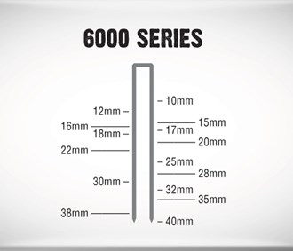 6000 Series Medium Staples 15mm (Box Qty 5,000)